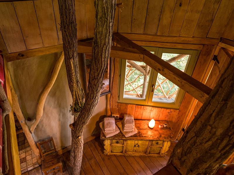 Welcome home in the Tree House